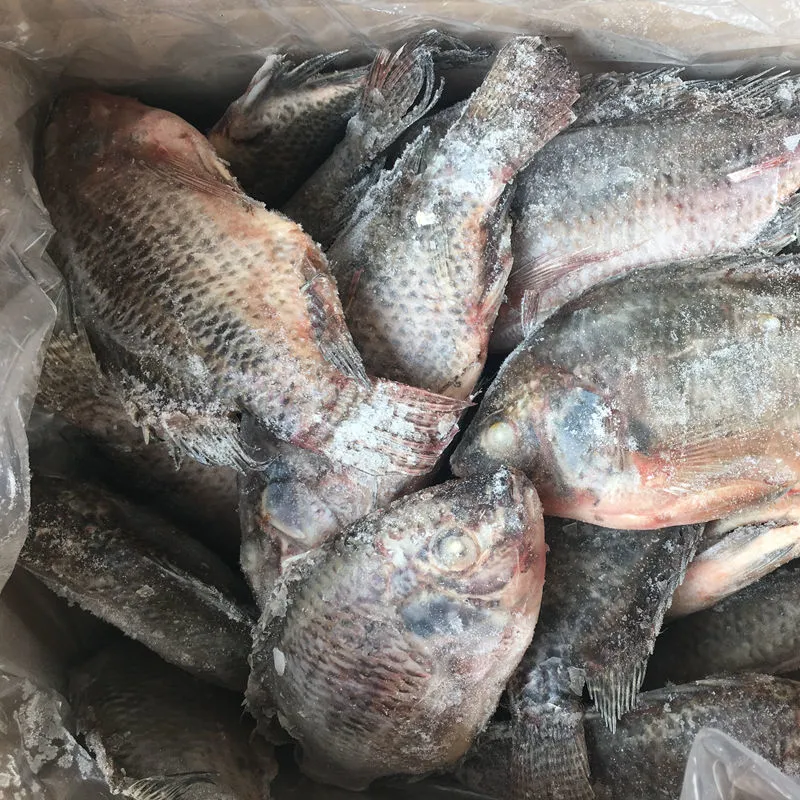 Gutted Scaled Size 300-500g IQF Black Frozen Tilapia in China