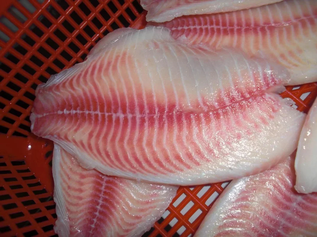 Frozen Seafood High Quality Tilapia Fillet