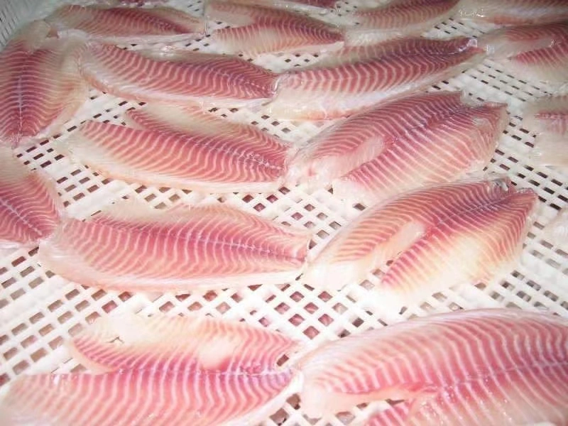 Frozen Seafood Hot Sale Tilapia Fillet (Oreochromis Niloticus)