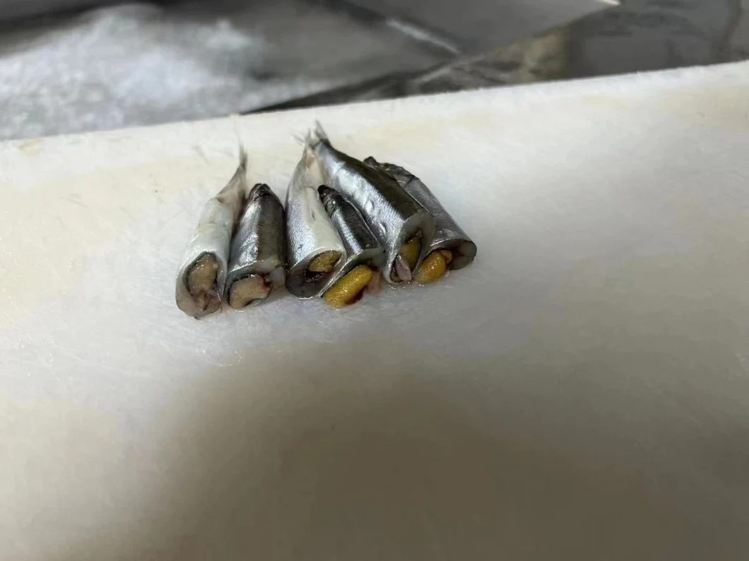 High Quality Frozen IQF/Bqf Capelin Fish for Sale Singapore Good Price