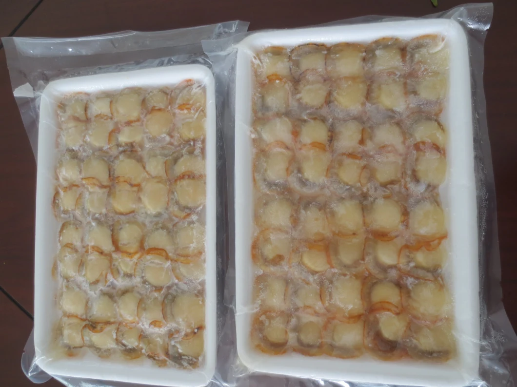 Frozen Boiled Sea Scallop Slice