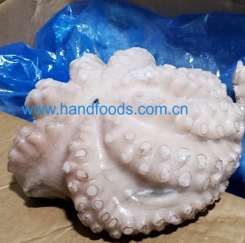 Good Quality Seafood of Frozen Cleaned Common Octopus Gaint Octopus