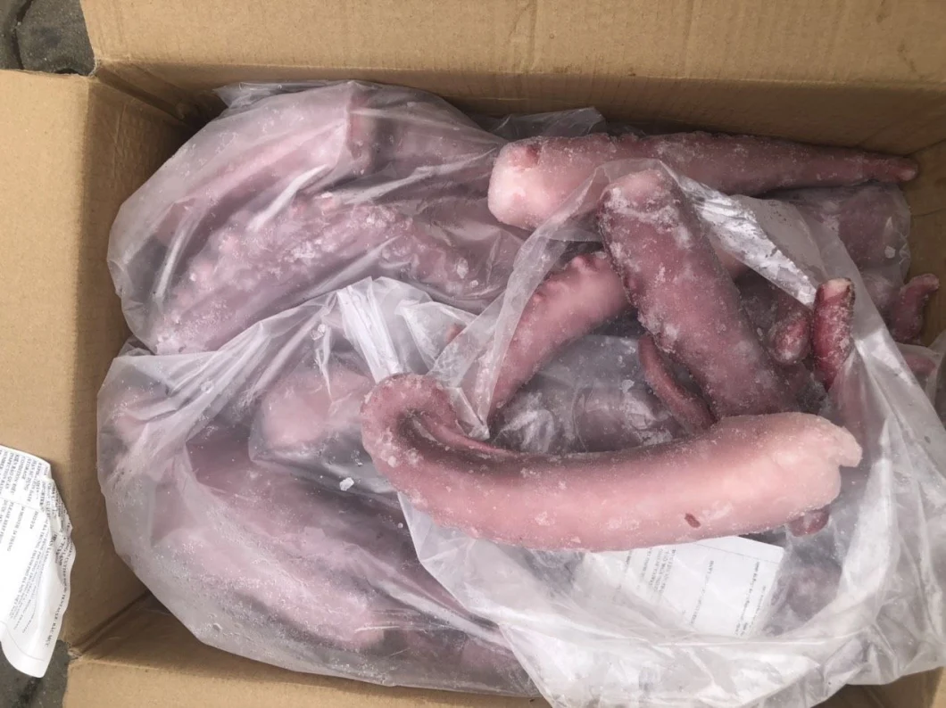 Frozen Squid Tentacle Strip Cut/ Giant Squid Tentacle/Boiled Squid Tentacles/Frozen Seafood/Sotong