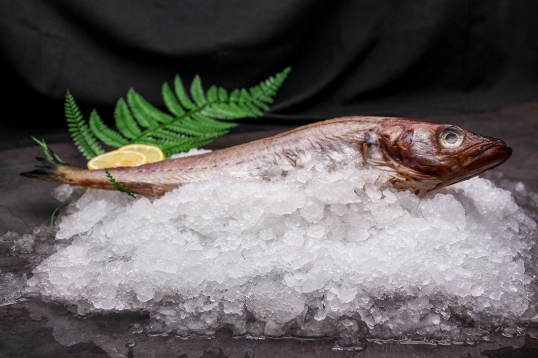 Gold Supplier Hot Selling Fresh and Tasty Frozen Half Dried Pollock