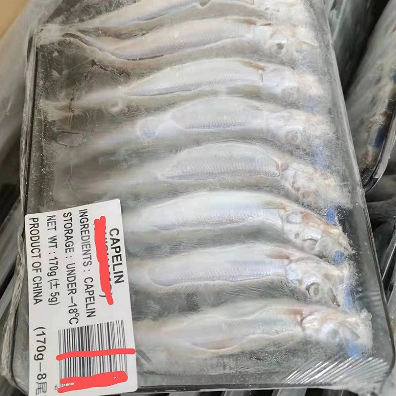 High Quality Delicious Frozen Capelin Frozen Fish Wholesale Mallotus Villosus