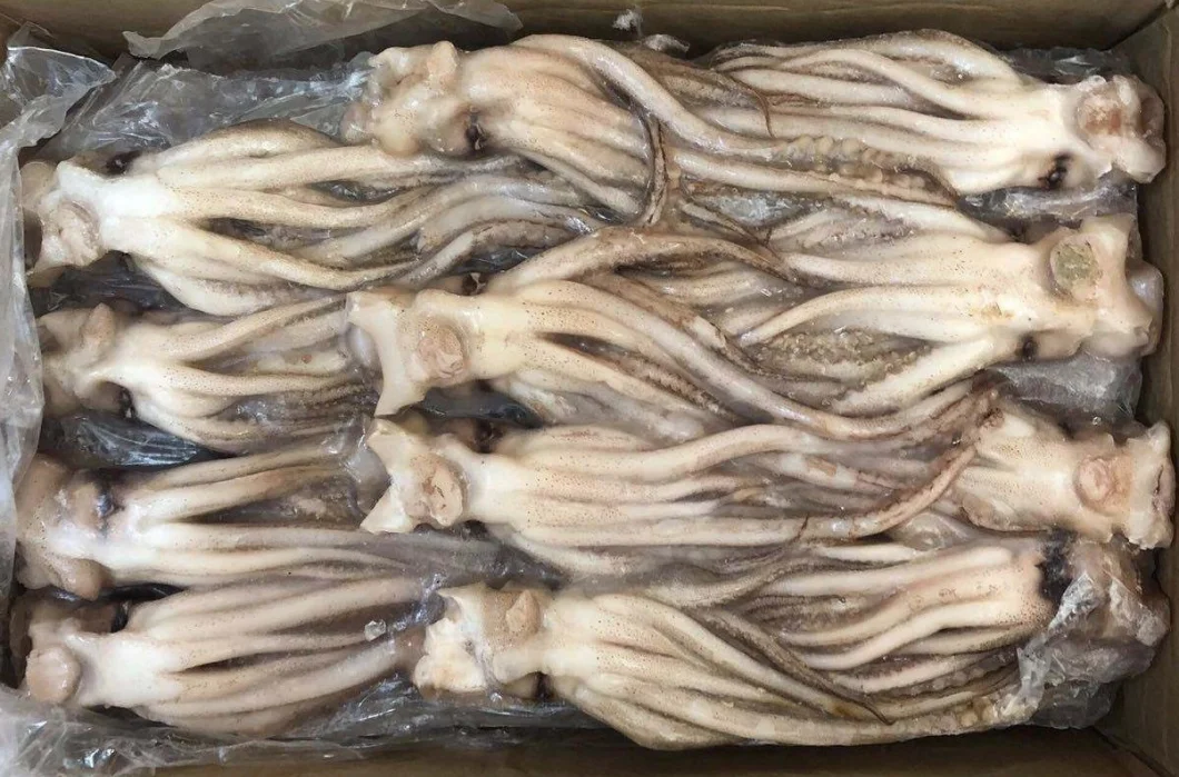 Frozen Squid Tentacle, Calamari, Calamar, Calmar, Pota, Illex Squid Tentacle, Giant Squid Tentacle, Todarodes Squid Tentacle