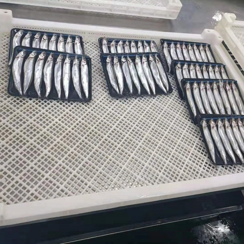 High Quality Frozen IQF/Bqf Capelin Fish for Sale Singapore Good Price