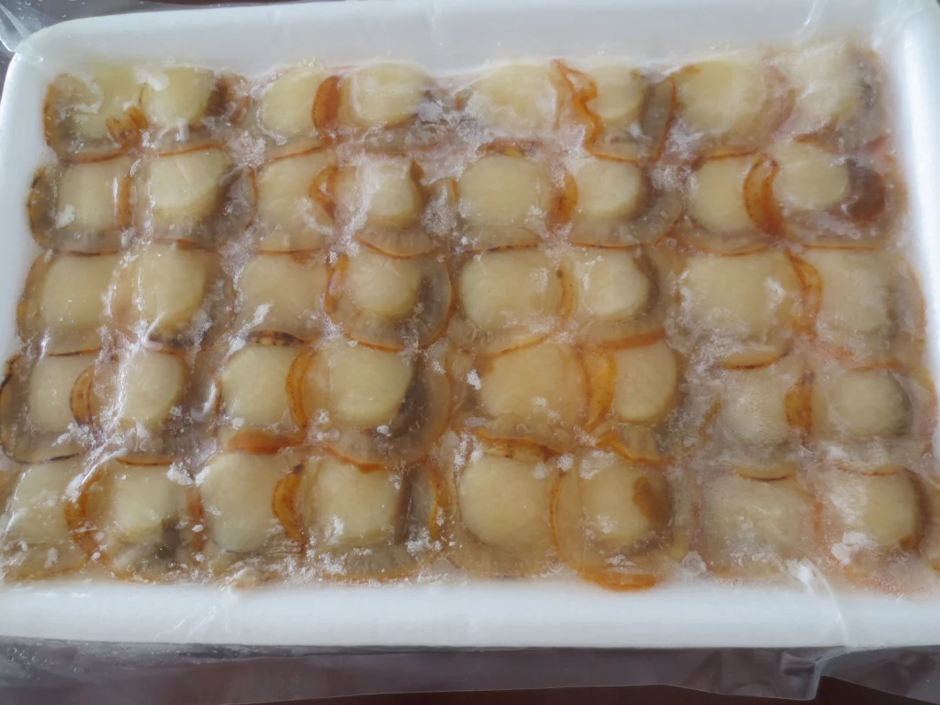 Frozen Boiled Sea Scallop Slice