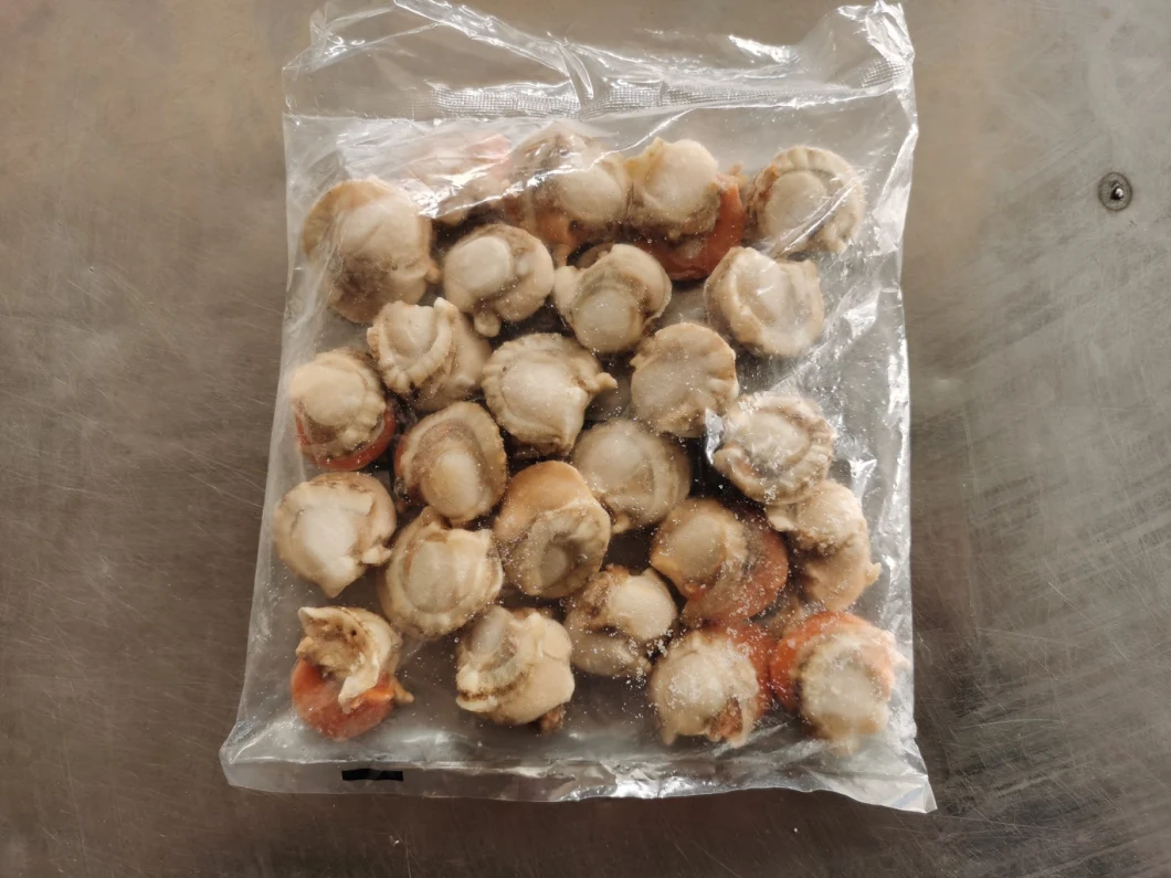 Frozen Seafood Hot Sale High Quality Boiled Delicious Scallop Meat