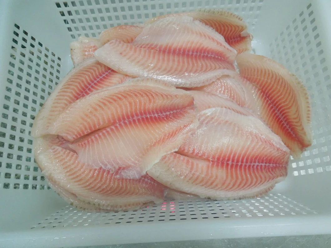 Frozen Seafood Chinese Delicious Tilapia Fillet