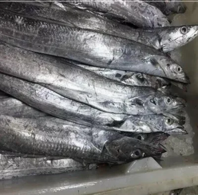 冷凍中華リボン付き魚の部分